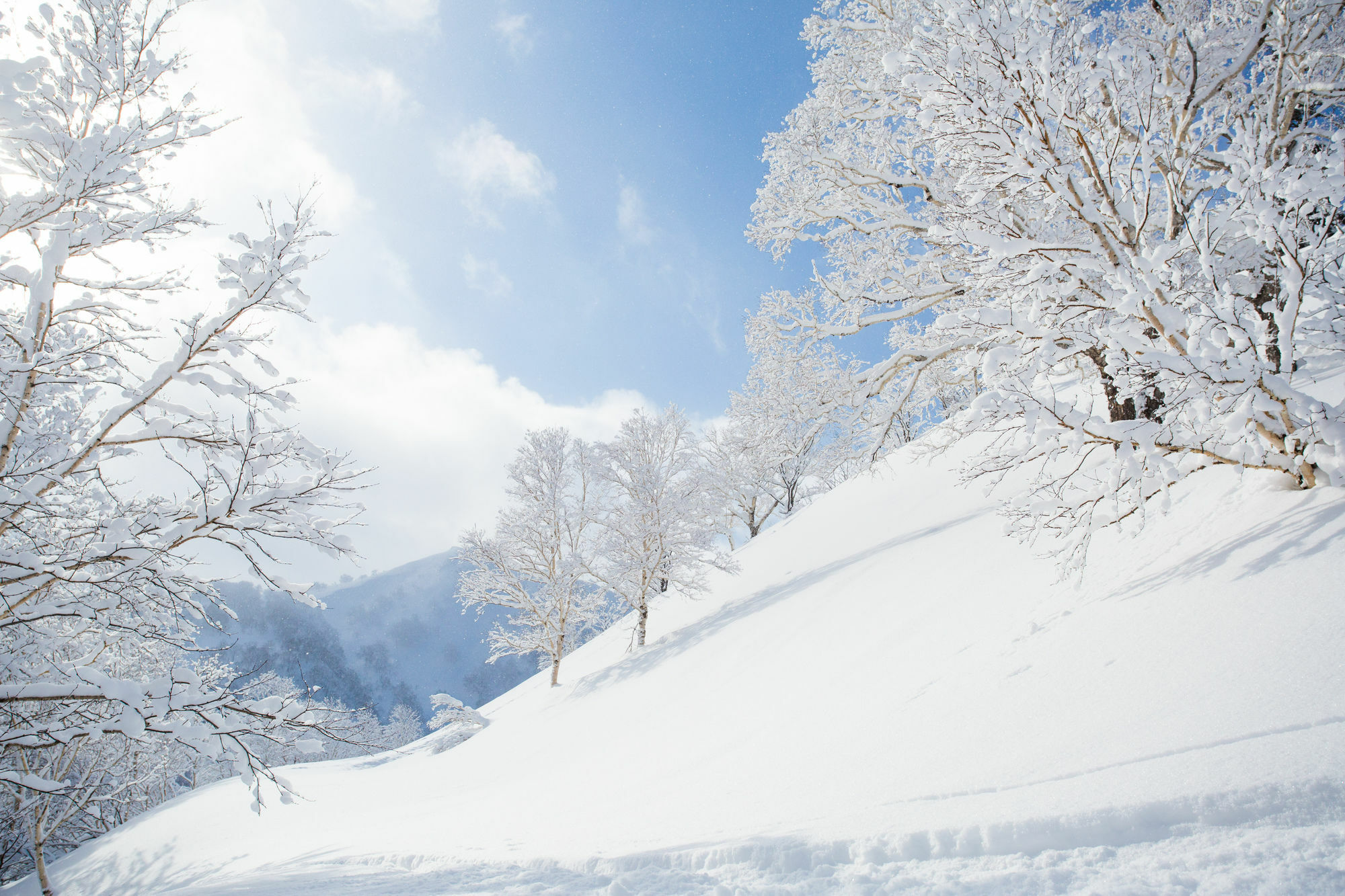 Pension Alice Niseko Exteriér fotografie